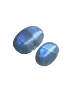 2025_12_17_11_34_IMG_7170-removebg-preview