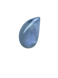 IMG_7207-removebg-preview